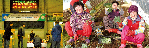 대동부추 초매식 열려1