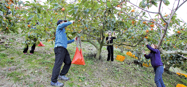 겨울에도 농민과 함께 합니다!1