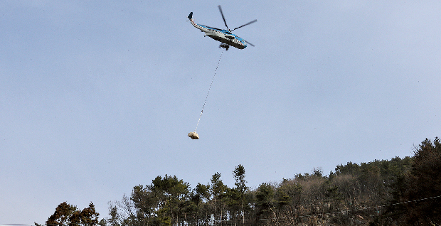 재선충병, 하나되어 총력 방제1