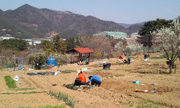 우리가족 텃밭이 생겼어요1