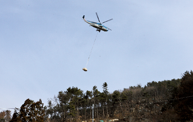 소나무 재선충병 이달 중으로 완전 방제!1