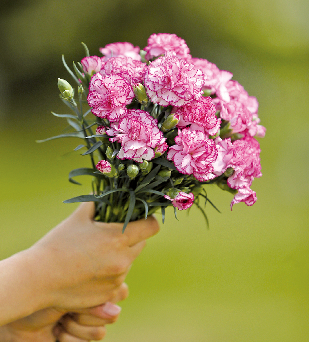 감사합니다. 그리고 사랑합니다.1