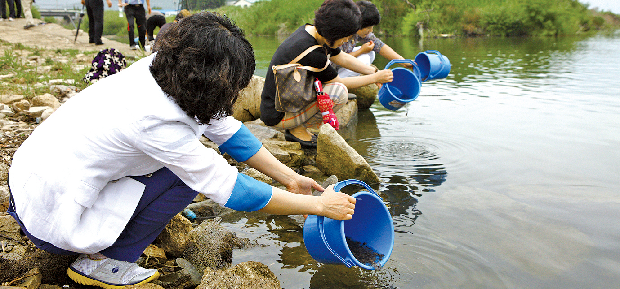 치어 방류로 어민 소득 향상1