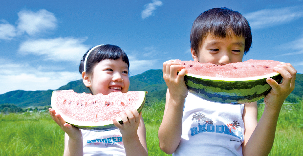 아이 손 잡고 수박따러 오세요1