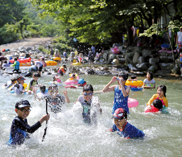 동네 계곡에서 무더위 날려요.1