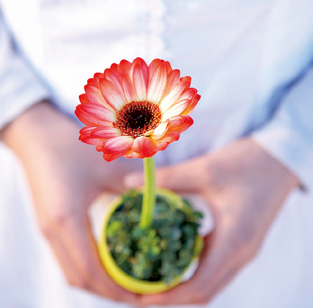 신품종 꽃 보급해 로열티 부담 줄여1