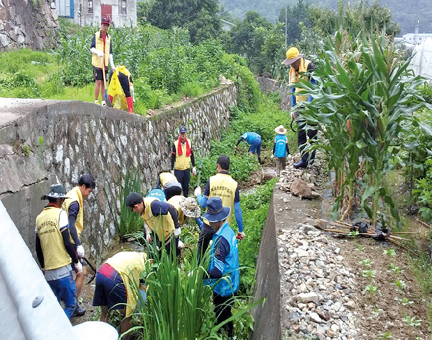 어릴적 추억이 깃든 도랑 살리기1