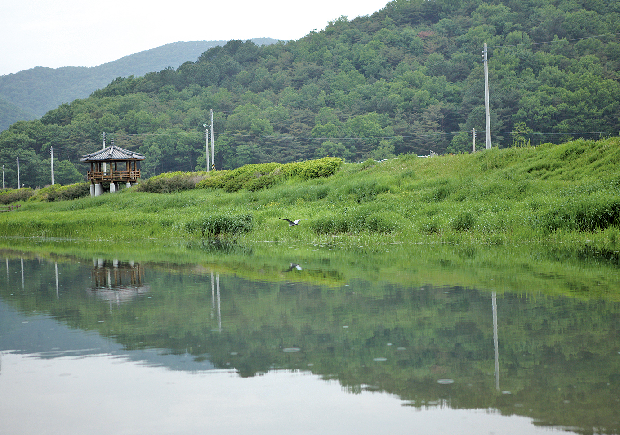 상동 대포천이 다시 살아난다1