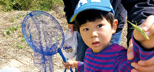 포토뉴스 - 곤충의 합창1