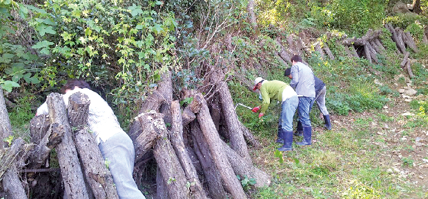 장애인 일자리 창출을 위해1