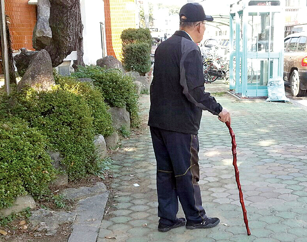 청려장(靑藜杖)을 아시나요?1