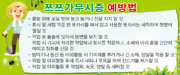 쯔쯔가무시증 감염 주의1