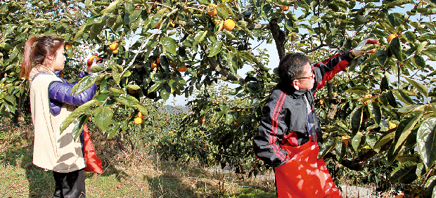 농촌도 돕고 행복도 채우고1