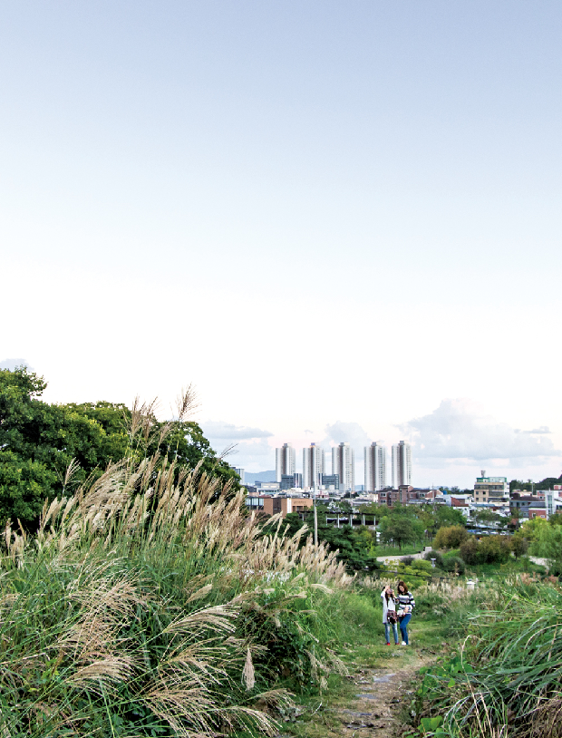 대성동고분군에서 김해의 가을을 만나다1