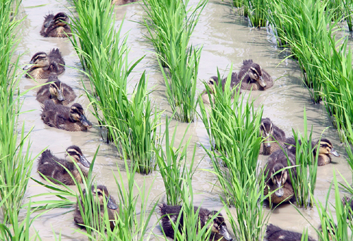 을미년 새해! 힘차게 출발 합니다!2