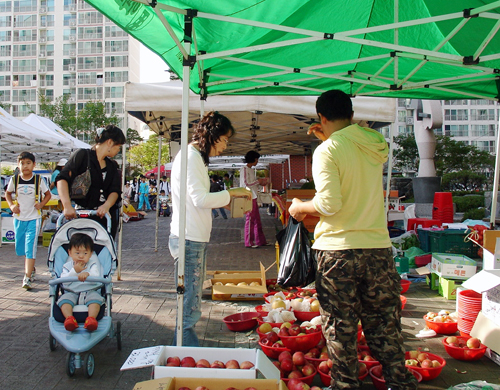 김해여객터미널, 2월 12일 드디어 개장1