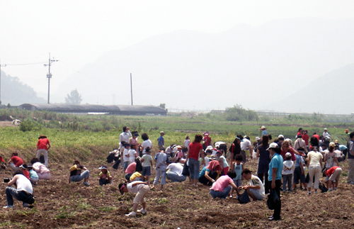 삼고초려 노력으로 예산 50억 원 줄이다1