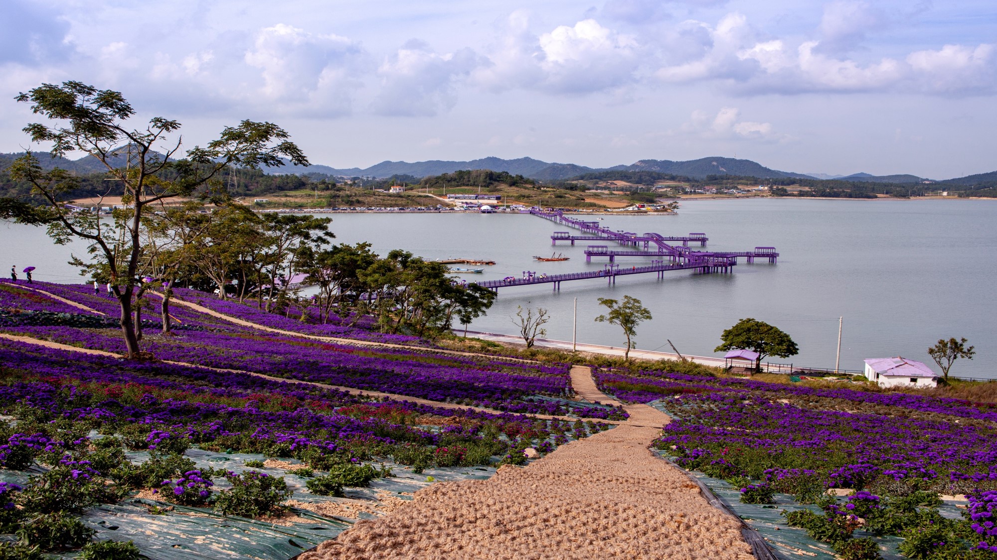  김해시 국내 자매도시 소식 신안 퍼플섬 ‘유엔 세계 최우수 관광마을’로 선정 0