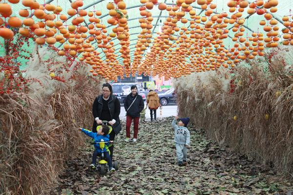 김해의 가을 축제, 성황리에 막을 내리다1