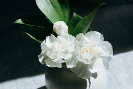 성묘 시, 생화 · 드라이 플라워 사용 프로그램 썸네일 이미지