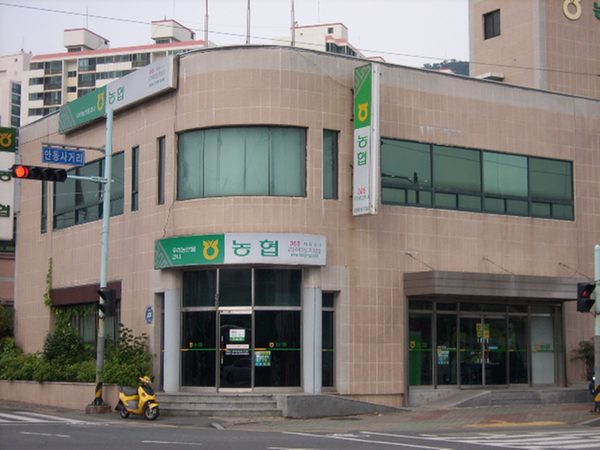 농협동김해지점