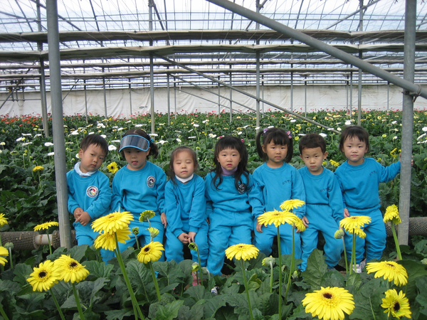 대동화훼정보화마을센터