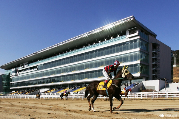 렛츠런파크 부산경남(부산경남경마공원)