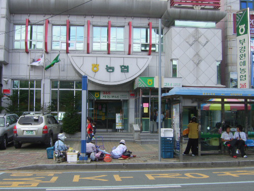 부경원예농협 김해지소