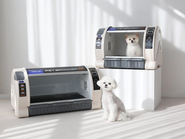 큐레이들 스마트 인큐베이터, 큐레이들 펫 O2브루더