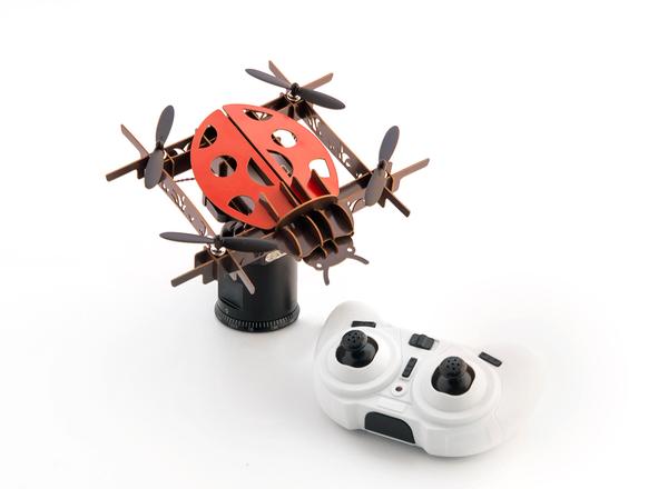 DIY 무당벌레 종이드론