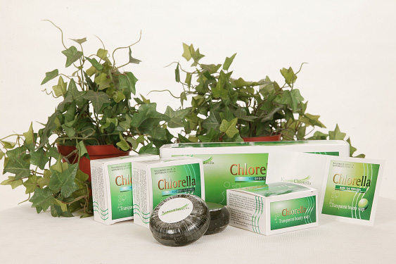 클로렐라 기능성 투명비누