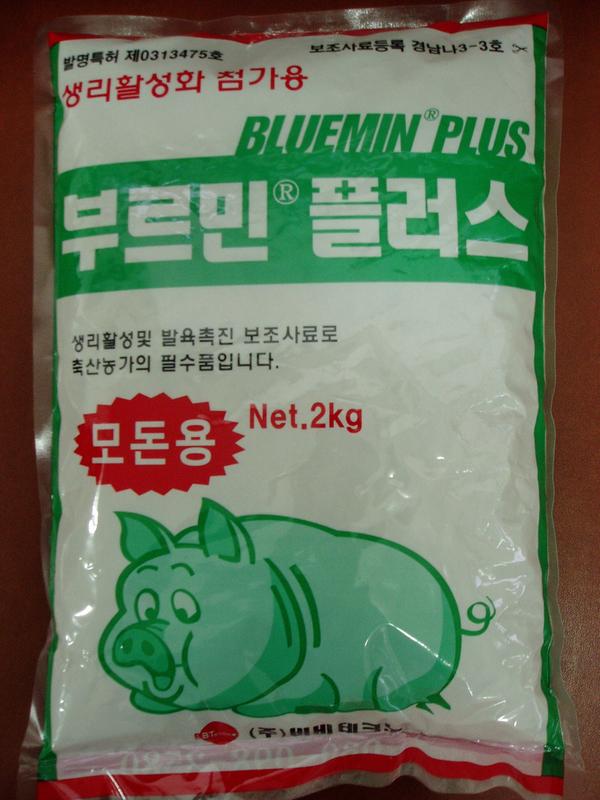 부르민 플러스(모돈용)