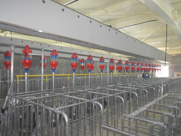 (양돈) 사료 급이 자동시스템