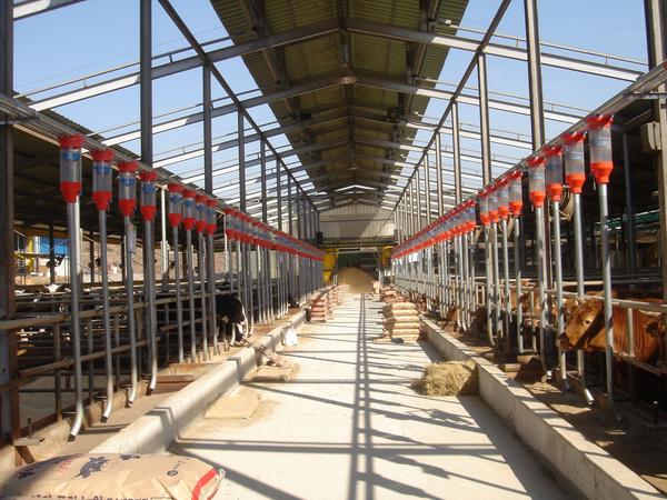 (우사)사료 급이 자동시스템