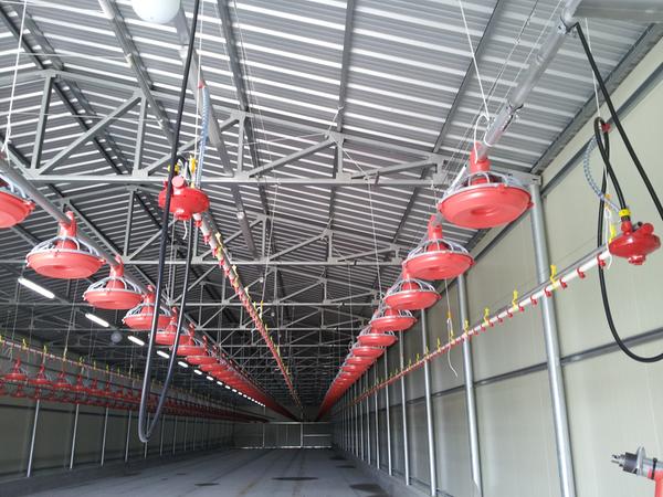 (양계)사료 급이 자동시스템