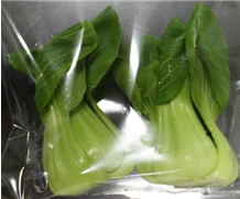  청경채 투과도 조절 필름 포장지