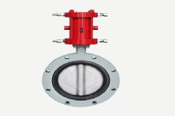 Concentric Butterfly Valve