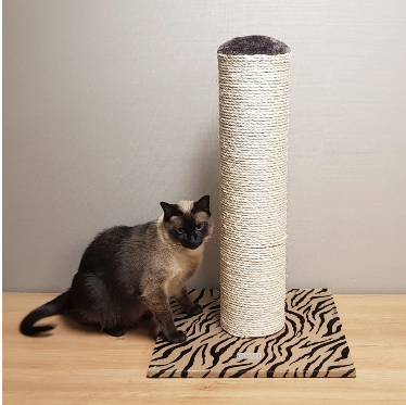 반려동물용품(가구)