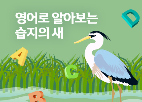 영어로 알아보는 습지의 새