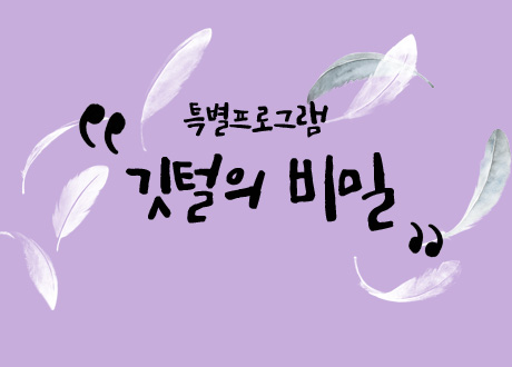 특별프로그램. 깃털의 비밀