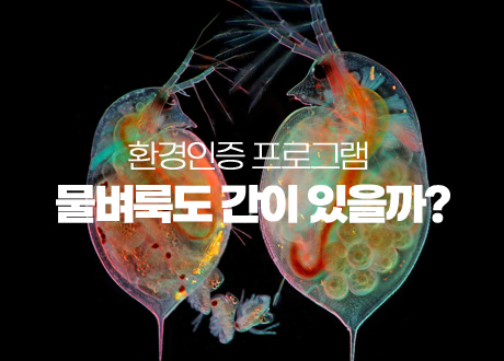 환경인증 프로그램. 물벼룩도 간이 있을까?