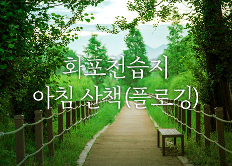 화포천습지 아침 산책(플로깅)