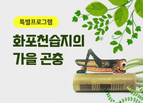 화포천습지의 가을 곤충들