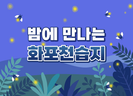 밤에 만나는 화포천습지