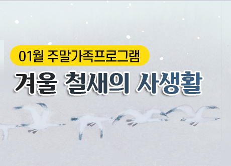 겨울 철새의 사생활