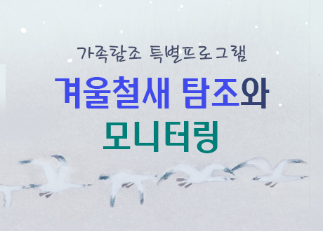 겨울철새 탐조와 모니터링