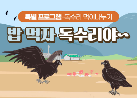 특별 프로그램-독수리 먹이나누기 밥 먹자 독수리야~