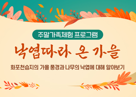 주말가족체험 프로그램 낙엽따라 온 가을 화포천습지의 가을 풍경과 나무의 낙엽에 대해 알아보기