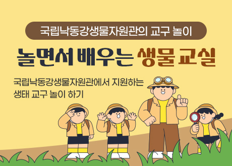 국립낙동강생물자원관의 교구 놀이 놀면서 배우는 생물 교실 국립낙동강생물자원관에서 지원하는 생태 교구 놀이 하기