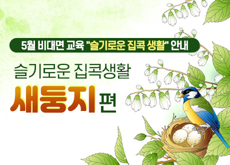 5월 비대면 교육 슬기로운 집콕 생활 안내 슬기로운 집콕생활 새둥지편